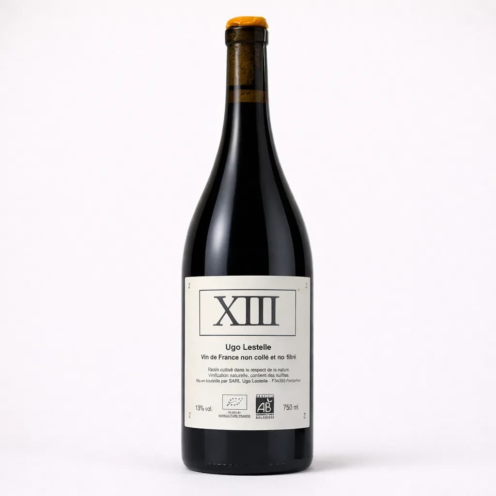 XIII